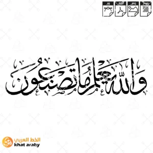 والله يعلم ما تصنعون