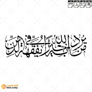 من يرد الله به خيرا يفقهه في الدين